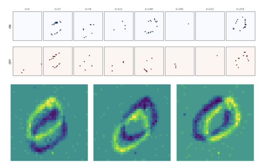 Spiking neural network activity on neuromorphic MNIST